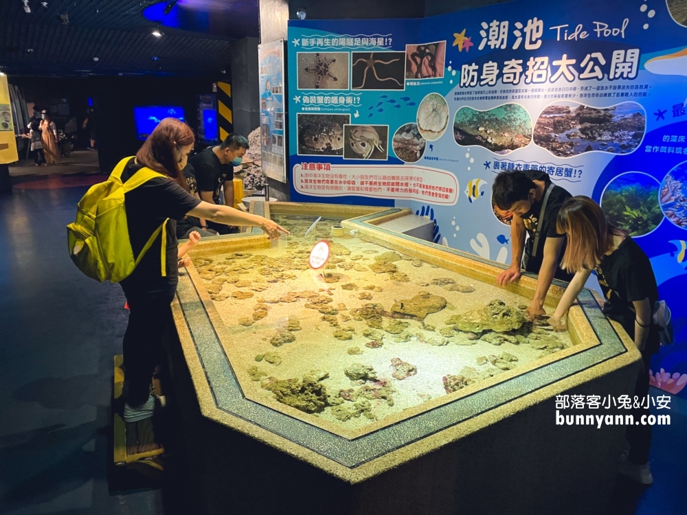 花蓮最佳親子景點，遠雄海洋公園遊樂設施必玩攻略