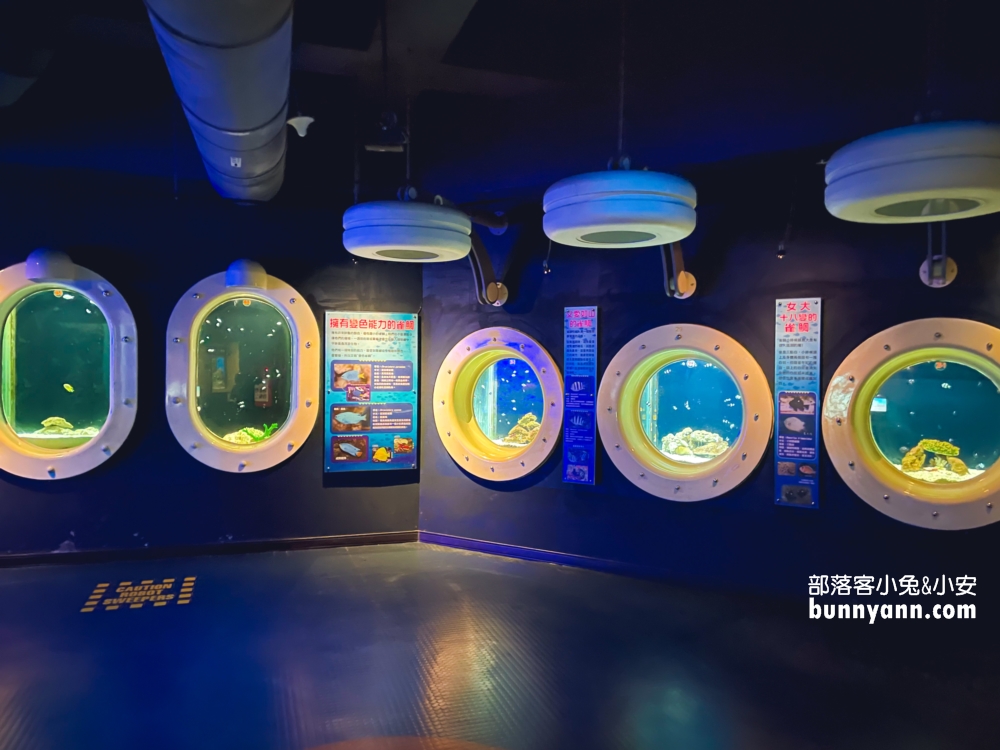 花蓮最佳親子景點，遠雄海洋公園遊樂設施必玩攻略