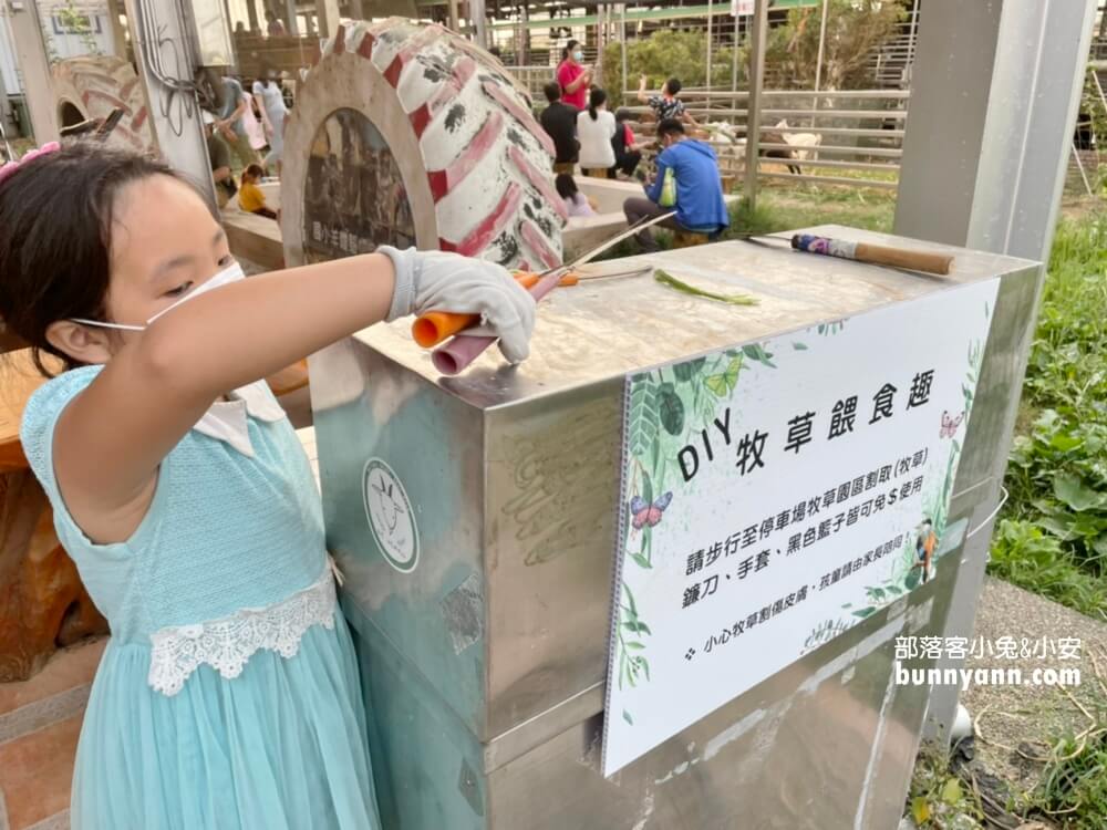 高雄禾光牧場｜免門票羊牧場，自己割牧草餵羊，暢玩親子沙坑