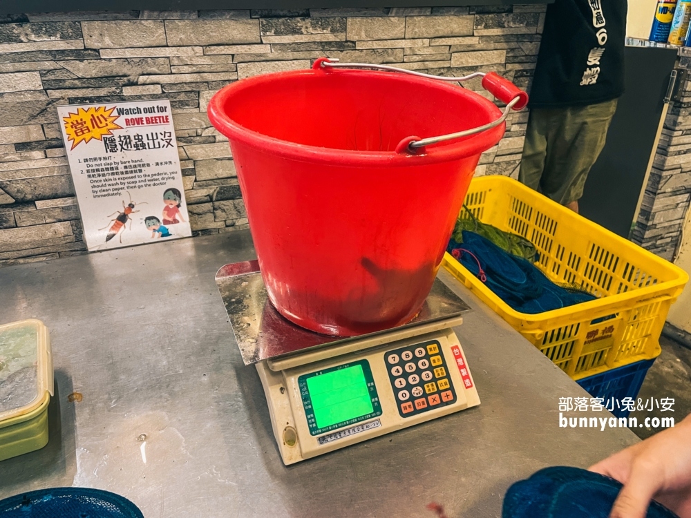六隻蝦釣蝦場(如意)谷歌評分4.8超好上鉤蝦場，體驗雙鉤釣蝦好地方