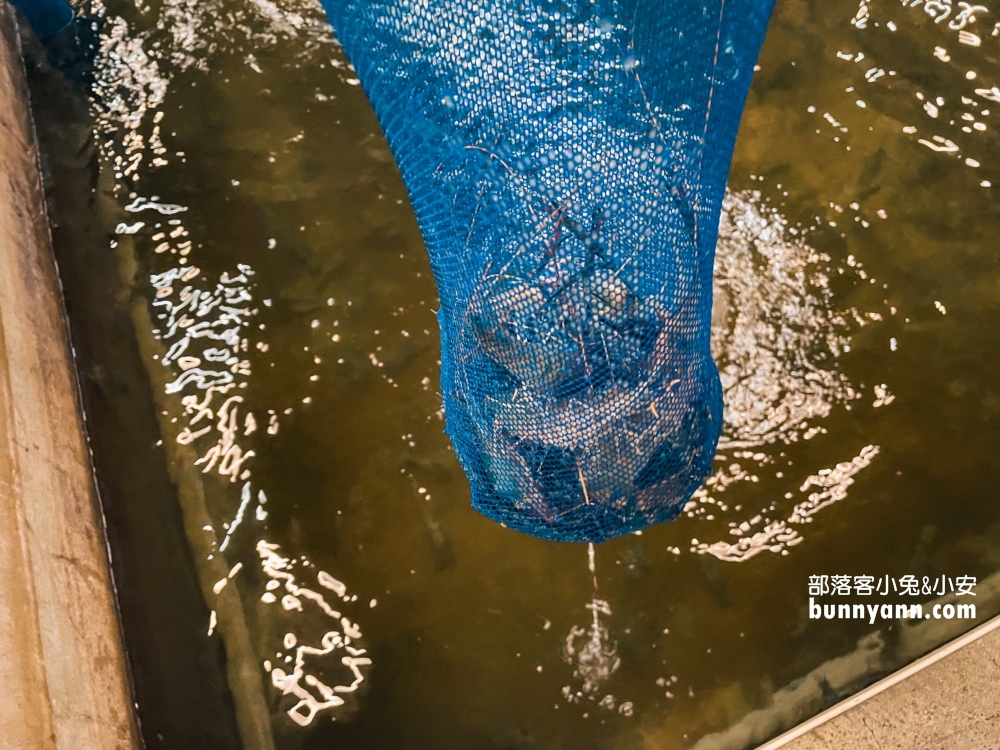 六隻蝦釣蝦場(如意)谷歌評分4.8超好上鉤蝦場，體驗雙鉤釣蝦好地方
