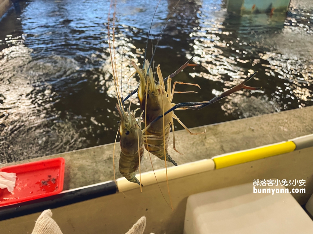 六隻蝦釣蝦場(如意)谷歌評分4.8超好上鉤蝦場，體驗雙鉤釣蝦好地方