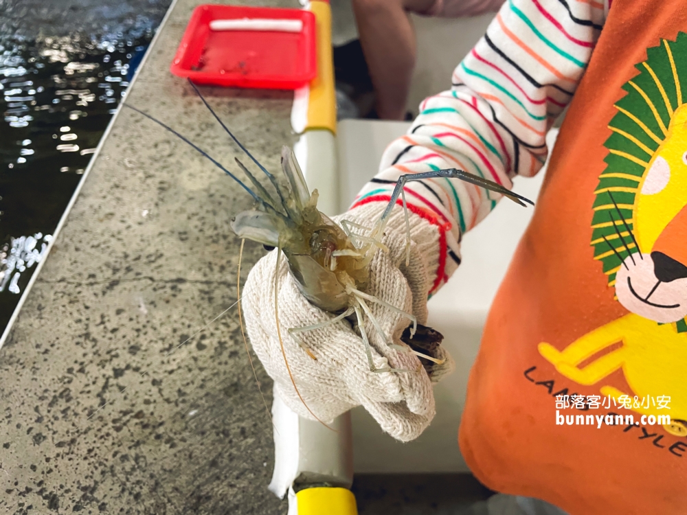 六隻蝦釣蝦場(如意)谷歌評分4.8超好上鉤蝦場，體驗雙鉤釣蝦好地方