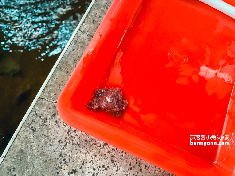 六隻蝦釣蝦場(如意)谷歌評分4.8超好上鉤蝦場，體驗雙鉤釣蝦好地方