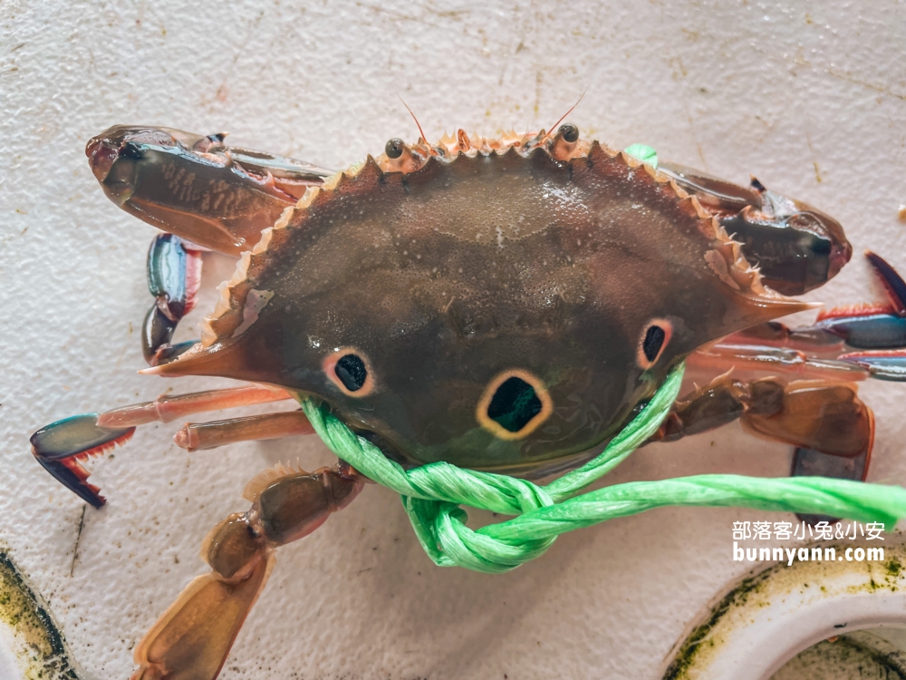 萬里【三協香萬里蟹】賣著當地盛產的螃蟹與各類海產，還有粒粒飽滿文蛤湯與新鮮小卷！