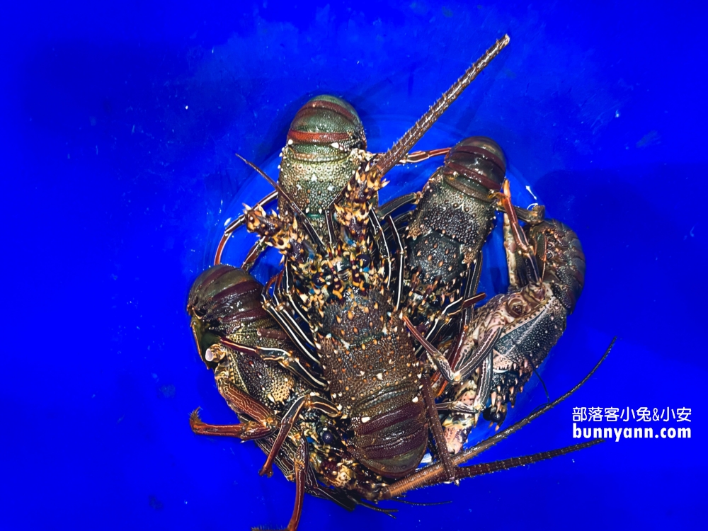 新北野柳【望海亭海鮮餐廳】小漁村內的平價海鮮餐廳
