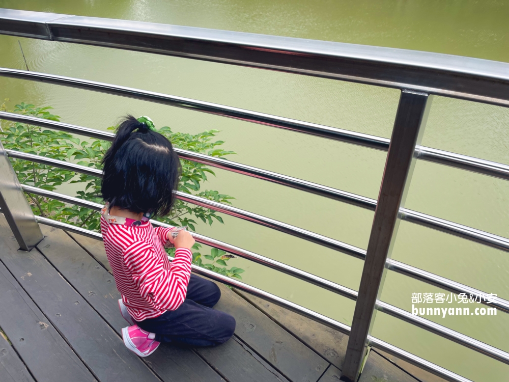 沽月日光休憩聚落｜美麗湖景第一排，附近景點與菜單分享