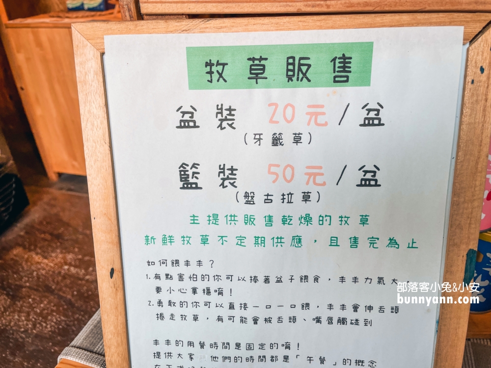 彰化牧場門市【羊舍鮮羊乳】免門票餵羊吃草，羊奶好好喝