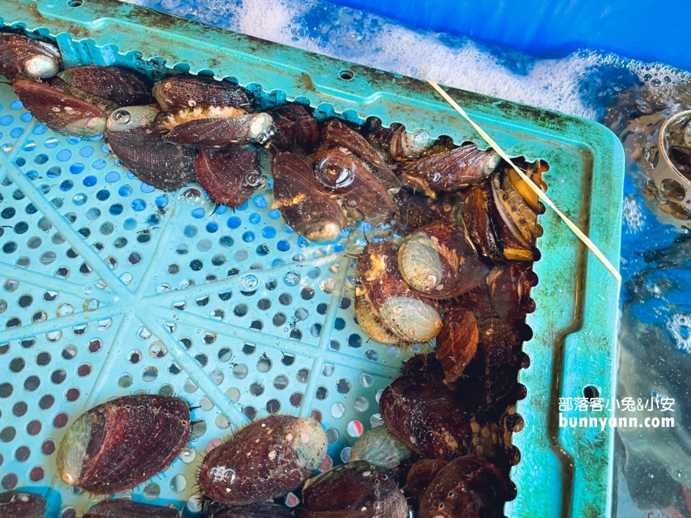 新北【烤魚達人活海鮮】谷歌4.8顆星的評價很高的海鮮餐廳