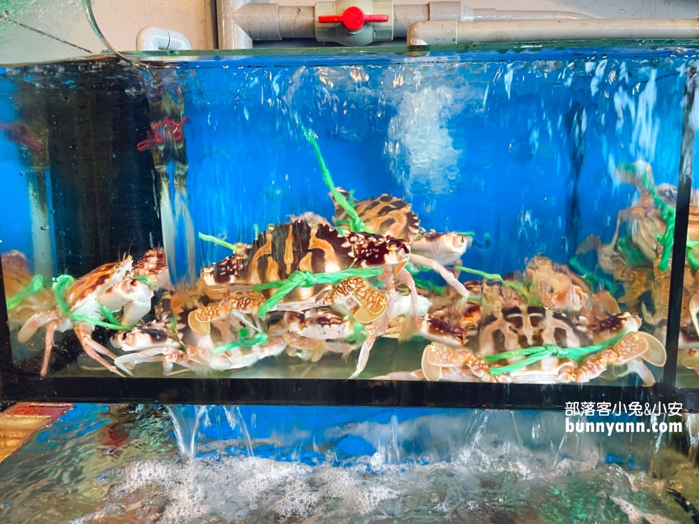 新北【烤魚達人活海鮮】谷歌4.8顆星的評價很高的海鮮餐廳