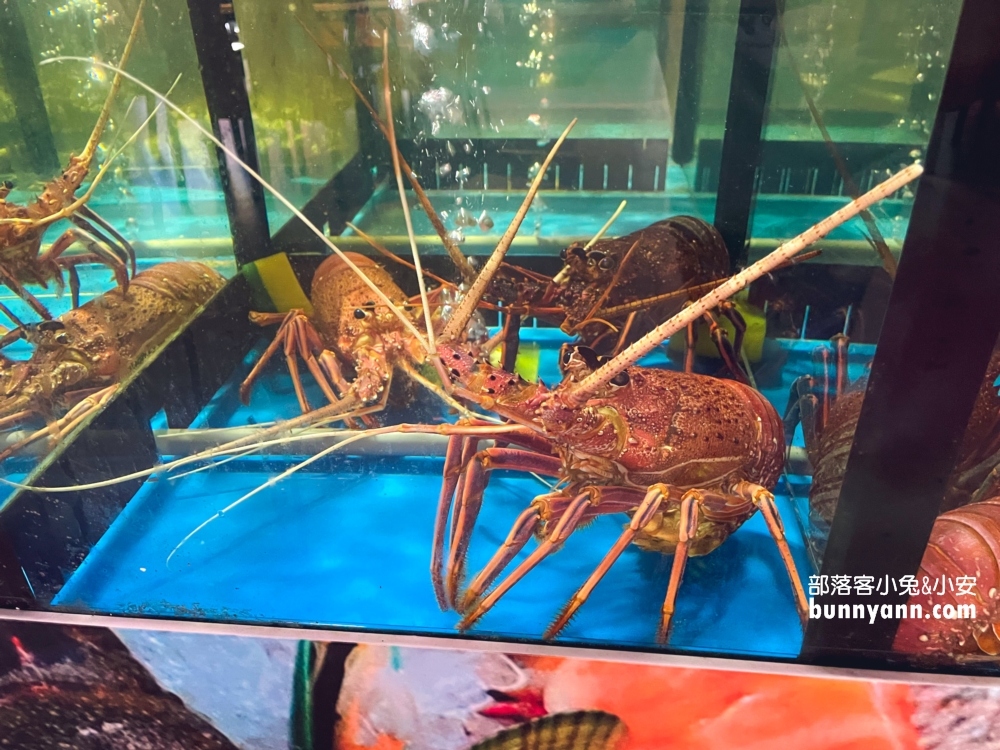 五星海鮮宴會釣蝦KTV環境
