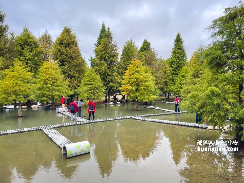 台中泰安落羽松》羽粼落羽松季附近景點一日遊這樣玩