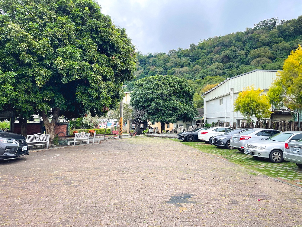 台中泰安落羽松》羽粼落羽松季附近景點一日遊這樣玩
