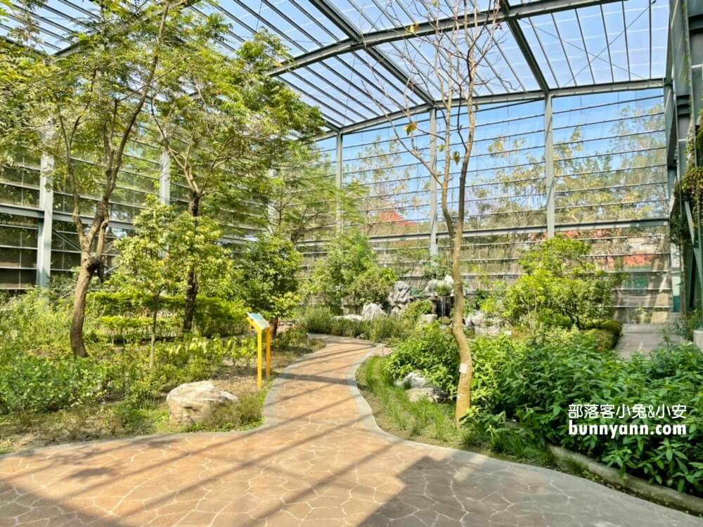 金獅湖蝴蝶園｜高雄免門票賞蝴蝶，美拍空中賞蝶步道，親子遊戲室好好玩