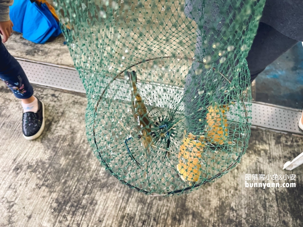 太平洋釣蝦場｜能夠一邊烤肉一邊釣蝦，費用與評價分享