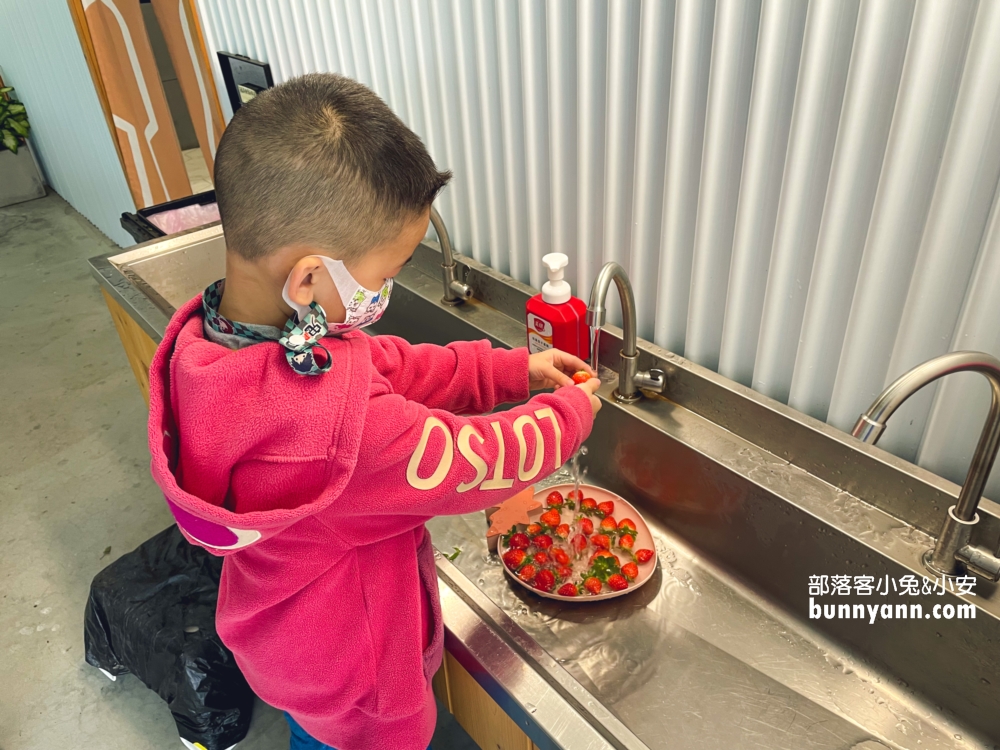 苗栗紅色琉璃瓦草莓園，草莓一斤價格曝光與開放時間