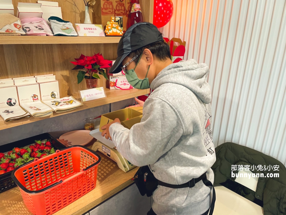 苗栗紅色琉璃瓦草莓園，草莓一斤價格曝光與開放時間