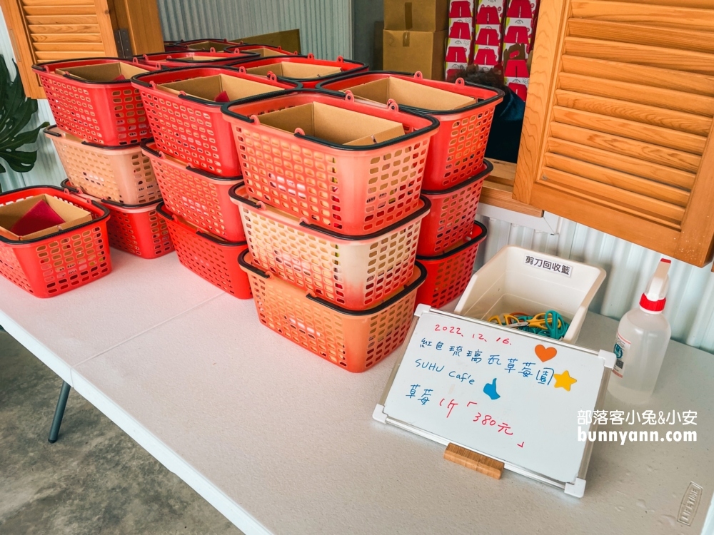 苗栗紅色琉璃瓦草莓園，草莓一斤價格曝光與開放時間