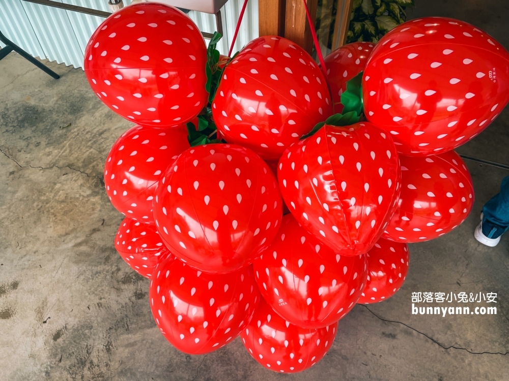 苗栗紅色琉璃瓦草莓園，草莓一斤價格曝光與開放時間