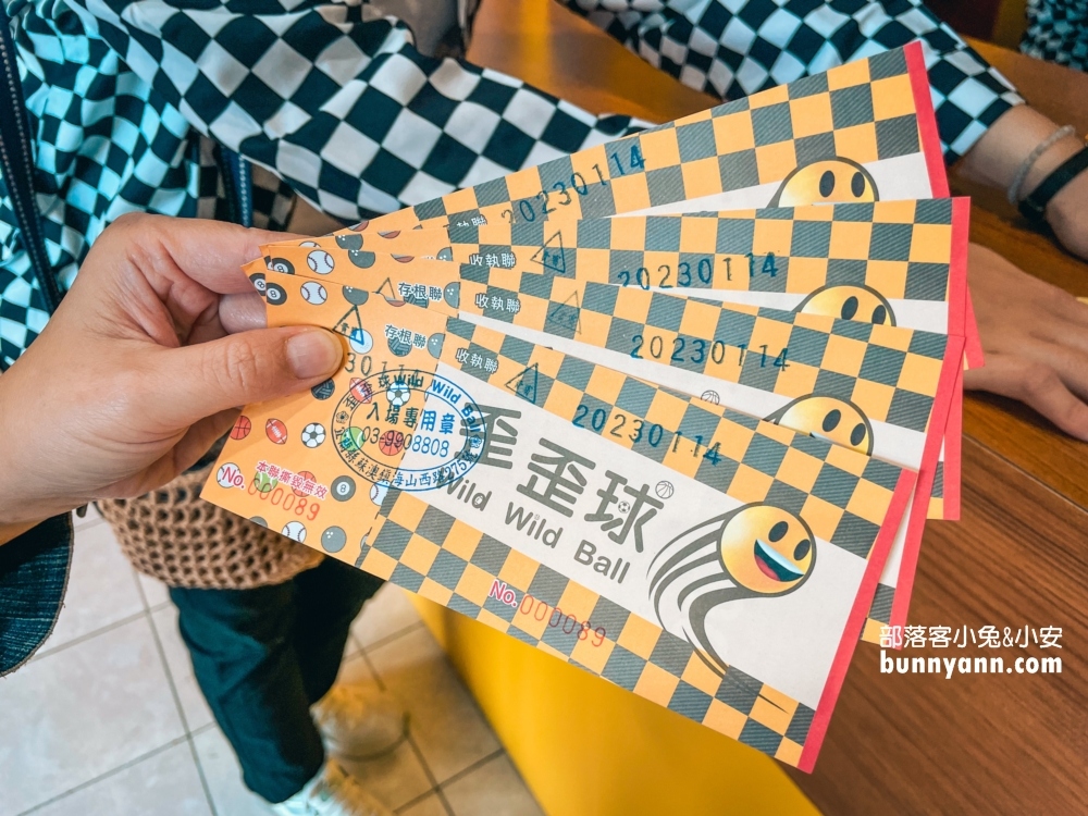 超有趣的【宜蘭歪歪球】真人彈珠檯和12種球類運動可玩