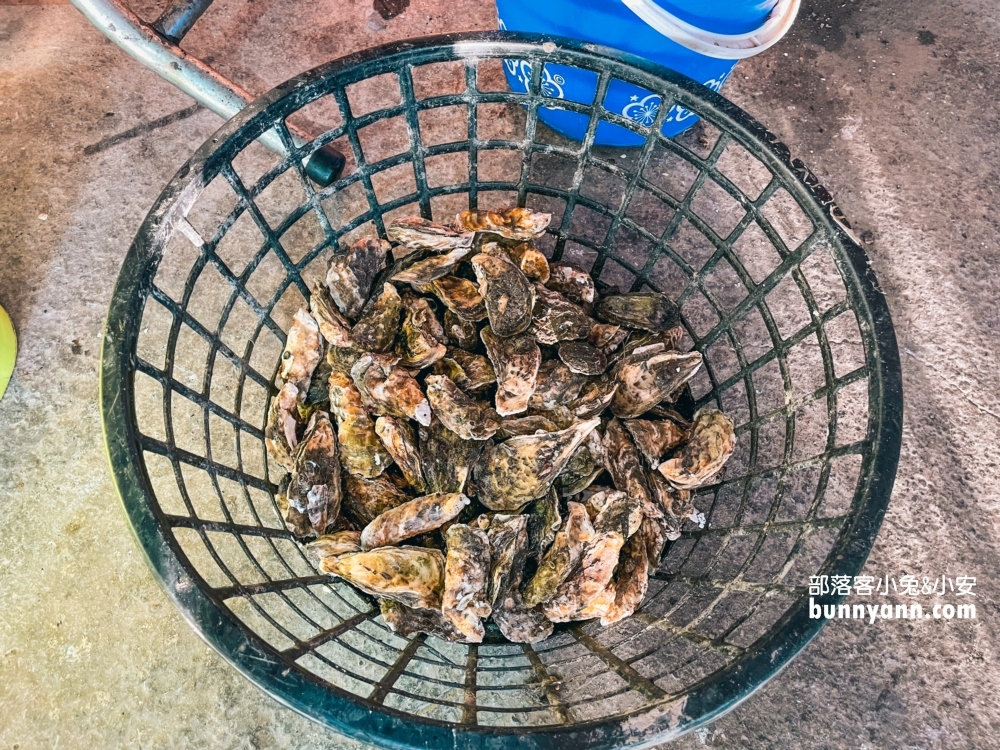 塭ㄚ烤蚵呷通海烤蚵200元吃到飽｜嘉義暴風式炭火烤蚵隨你無限吃