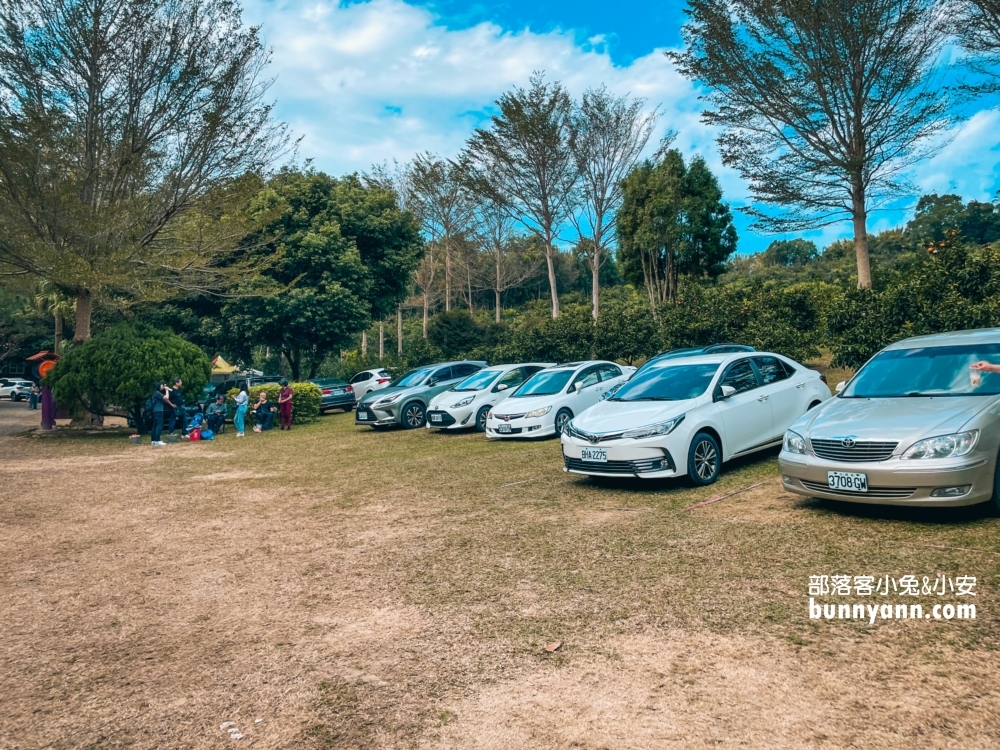 新竹【桔滿緣寶山農場】採橘子一日遊，百元門票不限時可以邊採邊吃