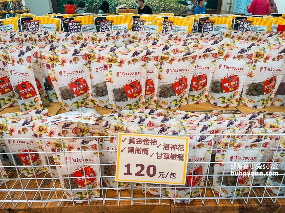 嘉義【品皇咖啡觀光工廠】入館免門票還有多種咖啡試飲