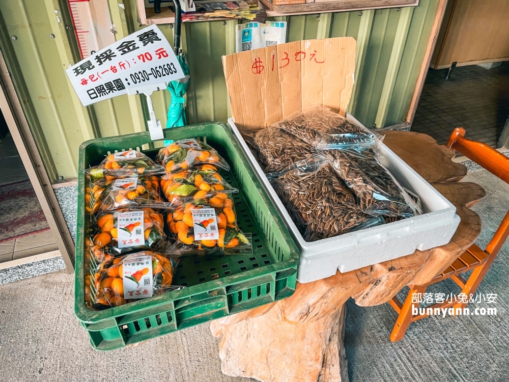 宜蘭礁溪【玫瑰園原泉湯屋】小巷子內的平價雙人溫泉湯屋