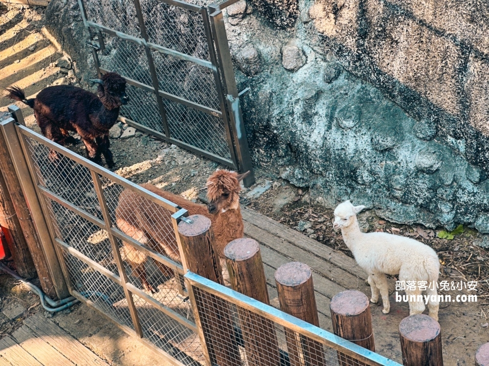 2025高雄【壽山動物園】門票交通和最新票價資訊報你知