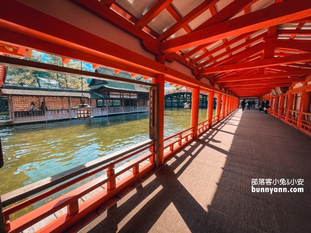 日本【嚴島神社】漂浮海上紅色鳥居，島上好多小鹿散步。