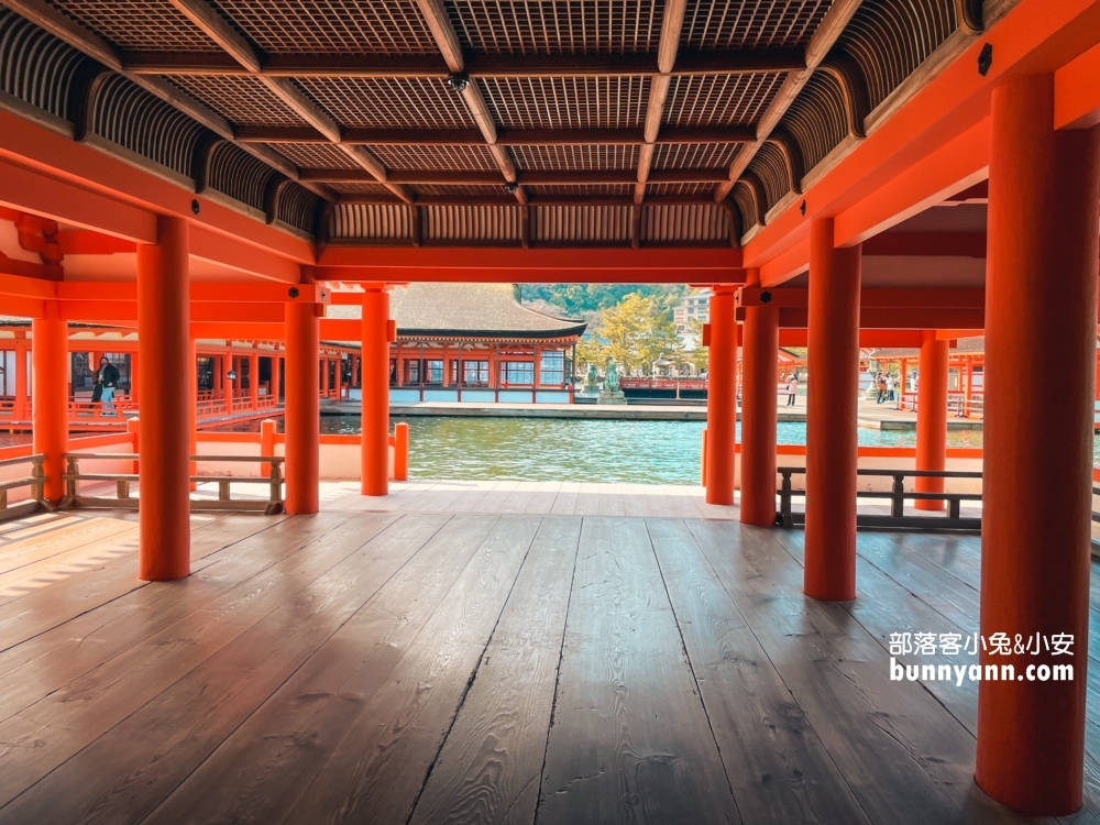 日本【嚴島神社】漂浮海上紅色鳥居，島上好多小鹿散步。