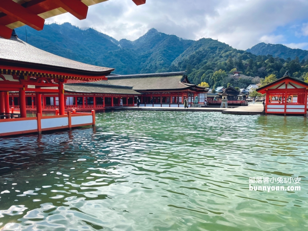 日本【嚴島神社】漂浮海上紅色鳥居，島上好多小鹿散步。