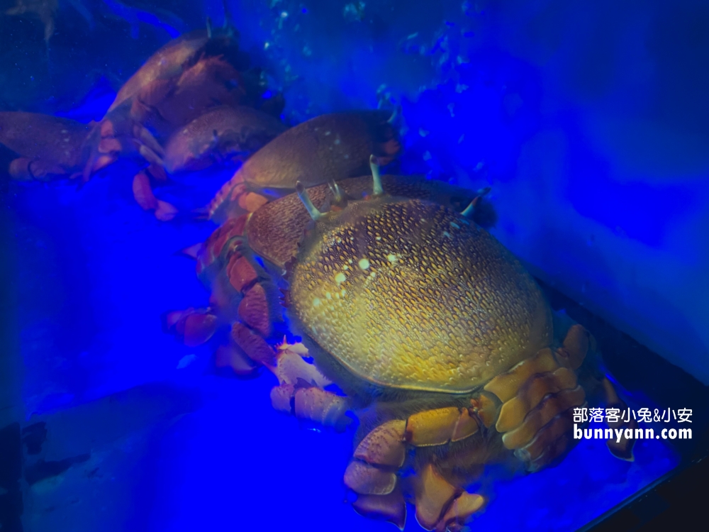 台北海鮮餐廳「新東南海鮮餐廳松山店」老字號又高CP值的海產店