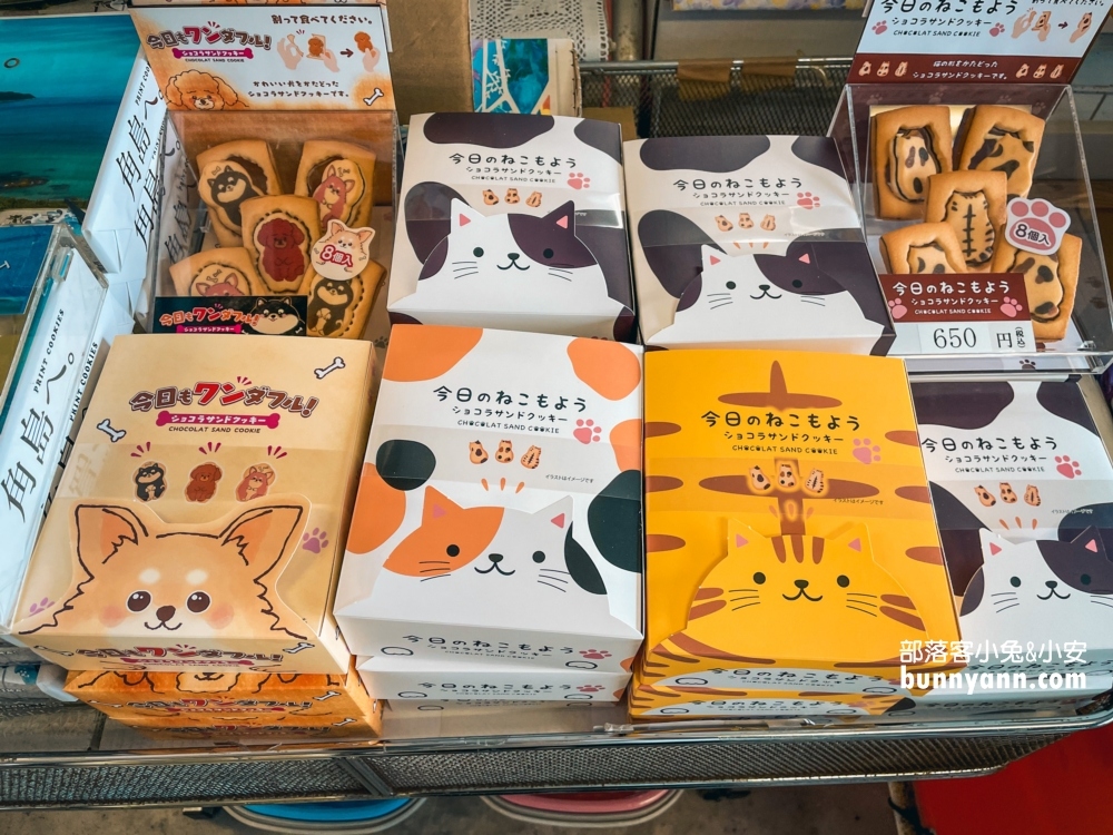 【角島大橋】景色超美的角島大橋展望台，和食処夢岬定食。