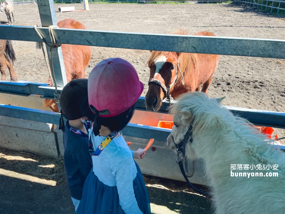 【宜騎緣沙灘馬場】免門票親近馬兒，可以騎馬兜風好地方