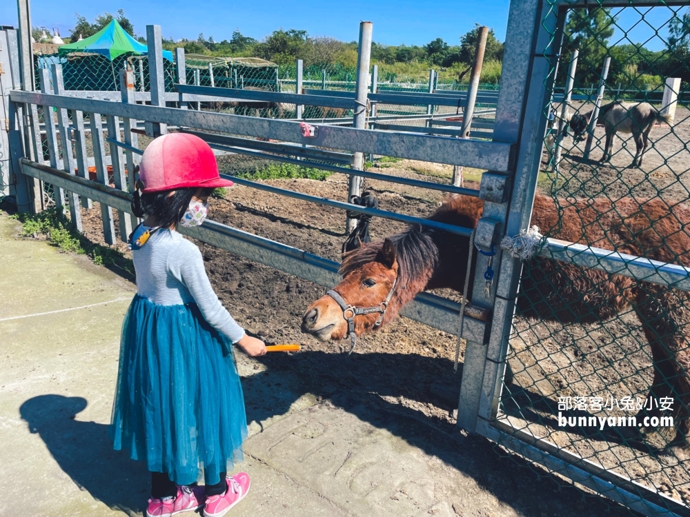 【宜騎緣沙灘馬場】免門票親近馬兒，可以騎馬兜風好地方