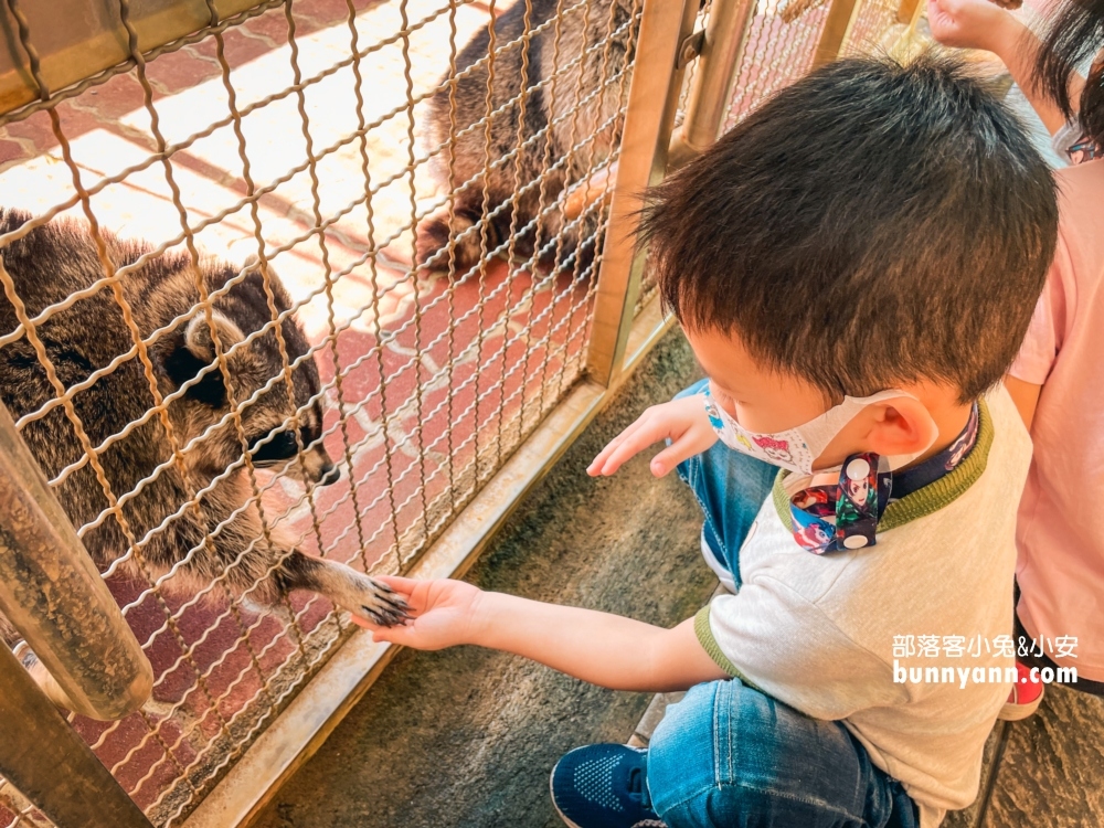 宜蘭【水鹿咖啡親子館】是咖啡店也是小型動物農場