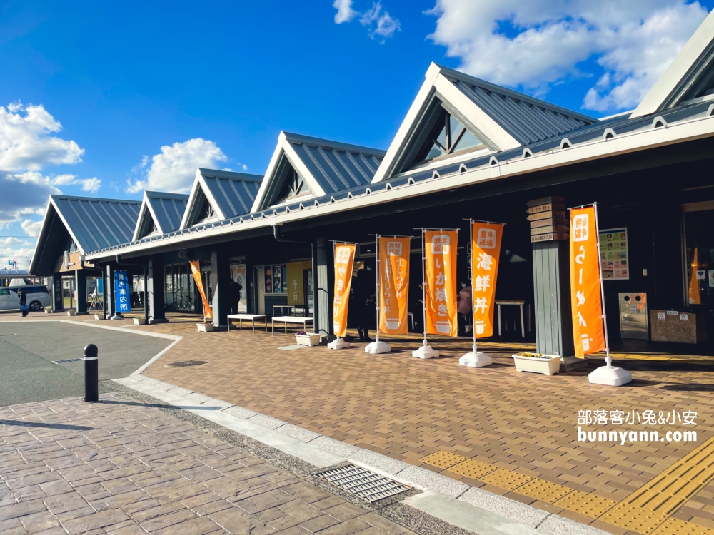 【青海島觀光汽船】海上阿爾卑斯，搭船票價與景色介紹