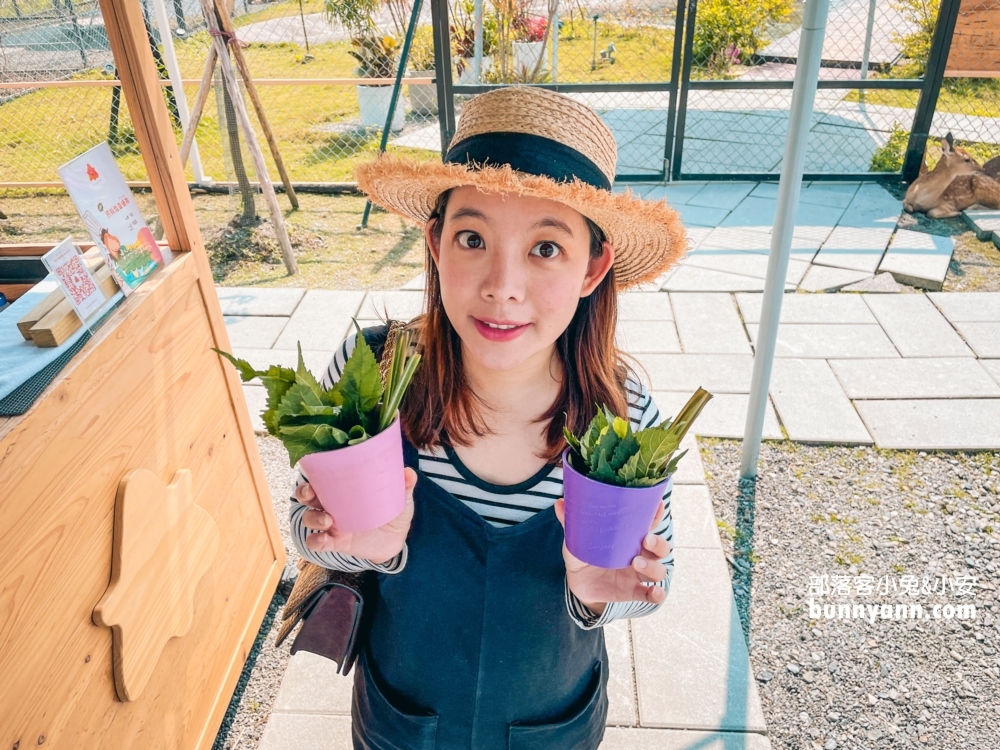 宜蘭【天使星夢渡假村】門票資訊與動物介紹總整理!!