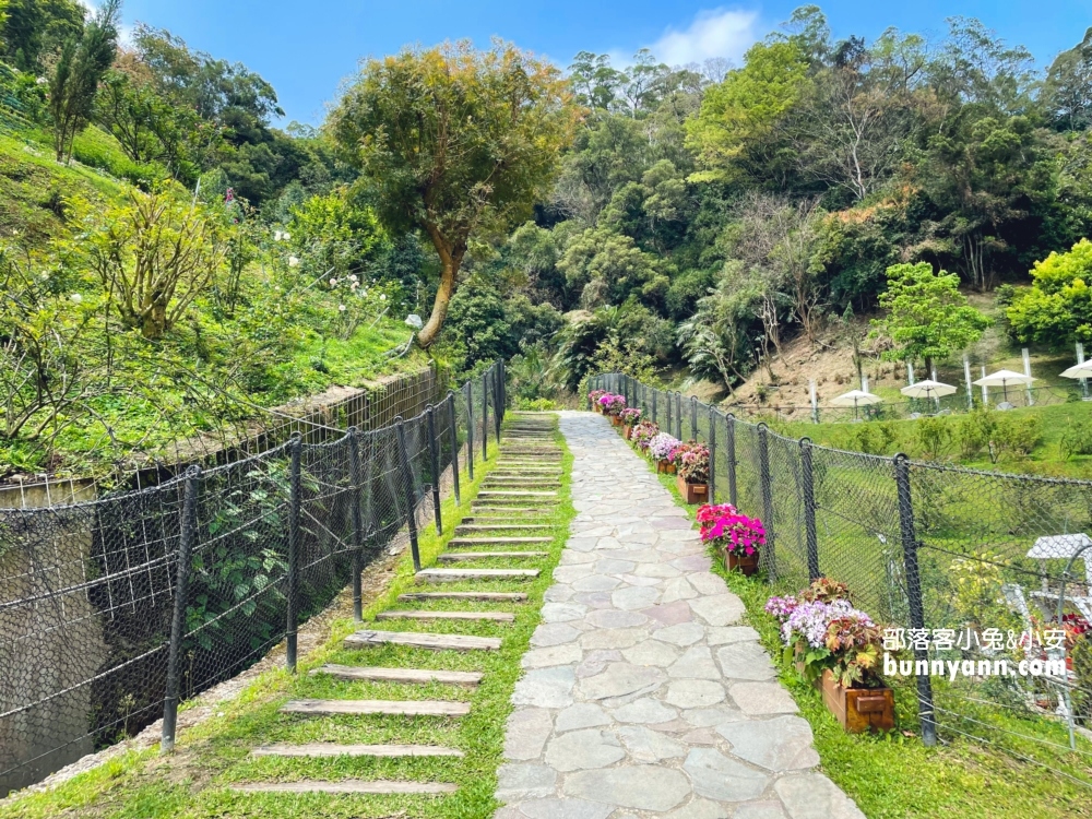 【雅聞七里香玫瑰森林】全台最大玫瑰花園，門票與餐廳介紹攻略