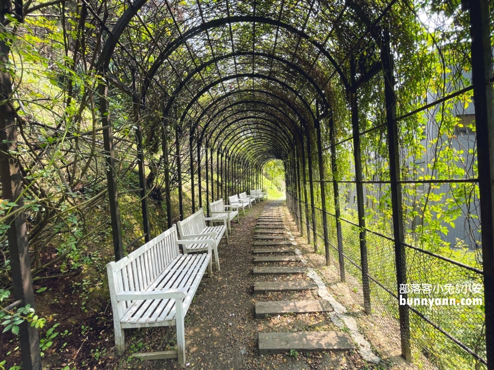 【雅聞七里香玫瑰森林】全台最大玫瑰花園，門票與餐廳介紹攻略
