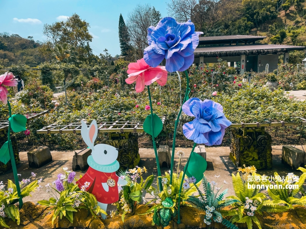 【雅聞七里香玫瑰森林】全台最大玫瑰花園，門票與餐廳介紹攻略