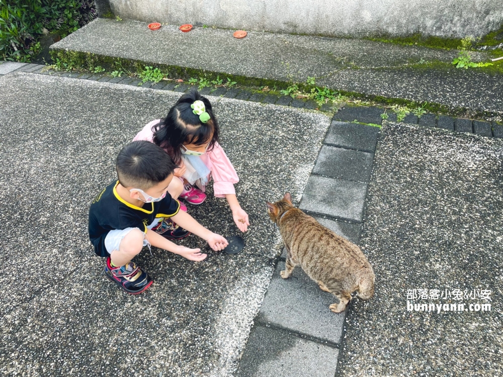 瑞芳【猴硐貓村】侯硐景點一日遊這樣玩不繞路!!