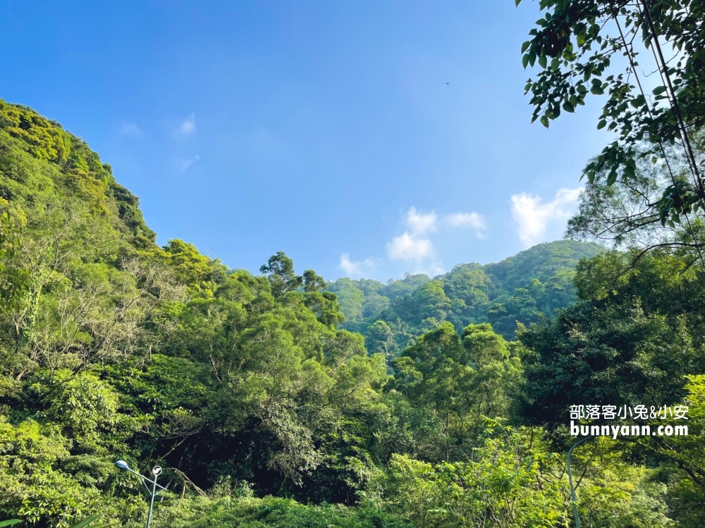 新店【二叭子植物園】讓你輕鬆漫步森林與綠谷之間