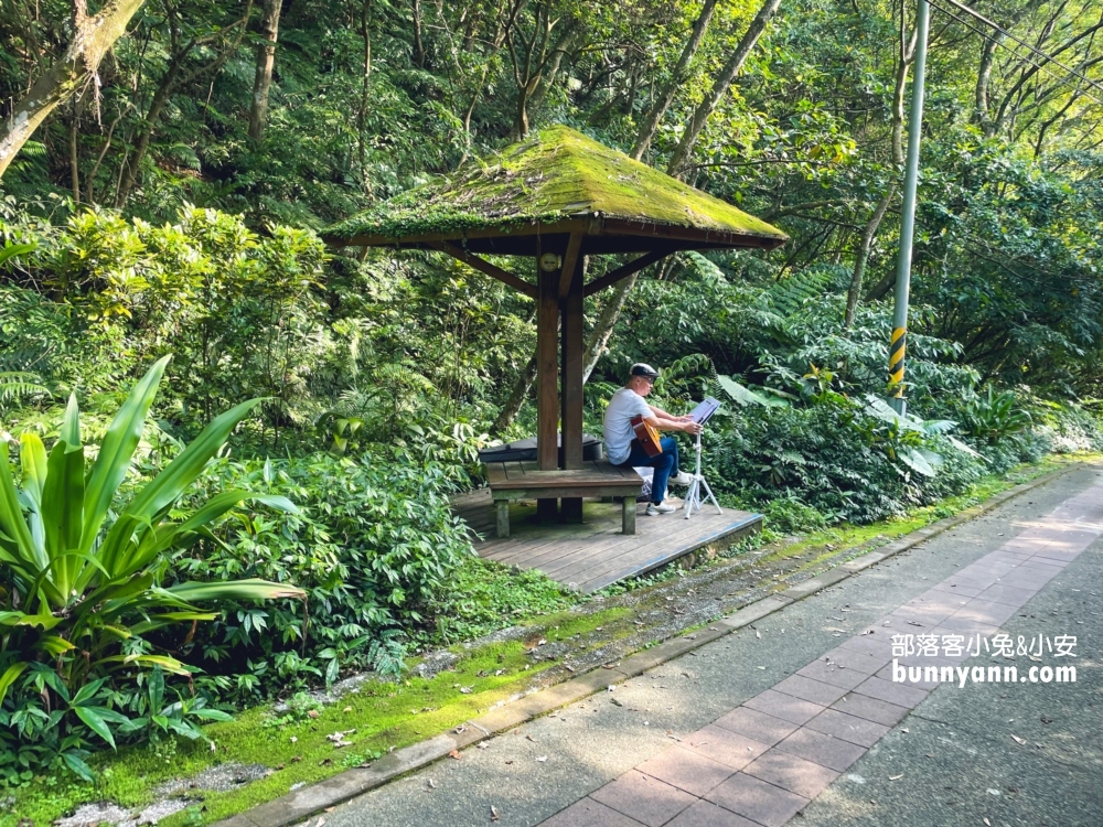 新店【二叭子植物園】讓你輕鬆漫步森林與綠谷之間