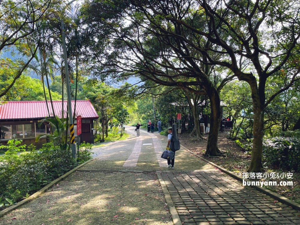 新店【二叭子植物園】讓你輕鬆漫步森林與綠谷之間
