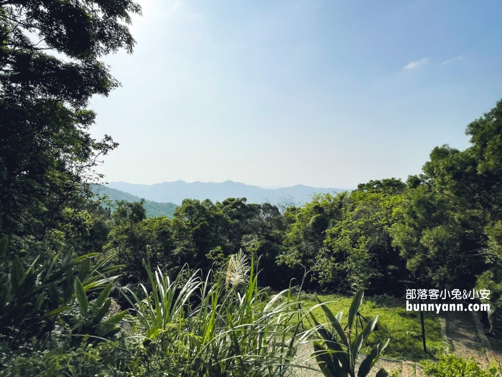 新店【二叭子植物園】讓你輕鬆漫步森林與綠谷之間