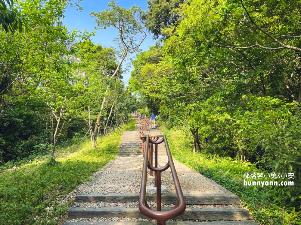 新店【二叭子植物園】讓你輕鬆漫步森林與綠谷之間