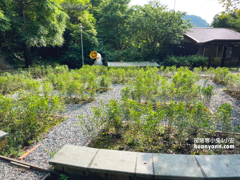 新店【二叭子植物園】讓你輕鬆漫步森林與綠谷之間