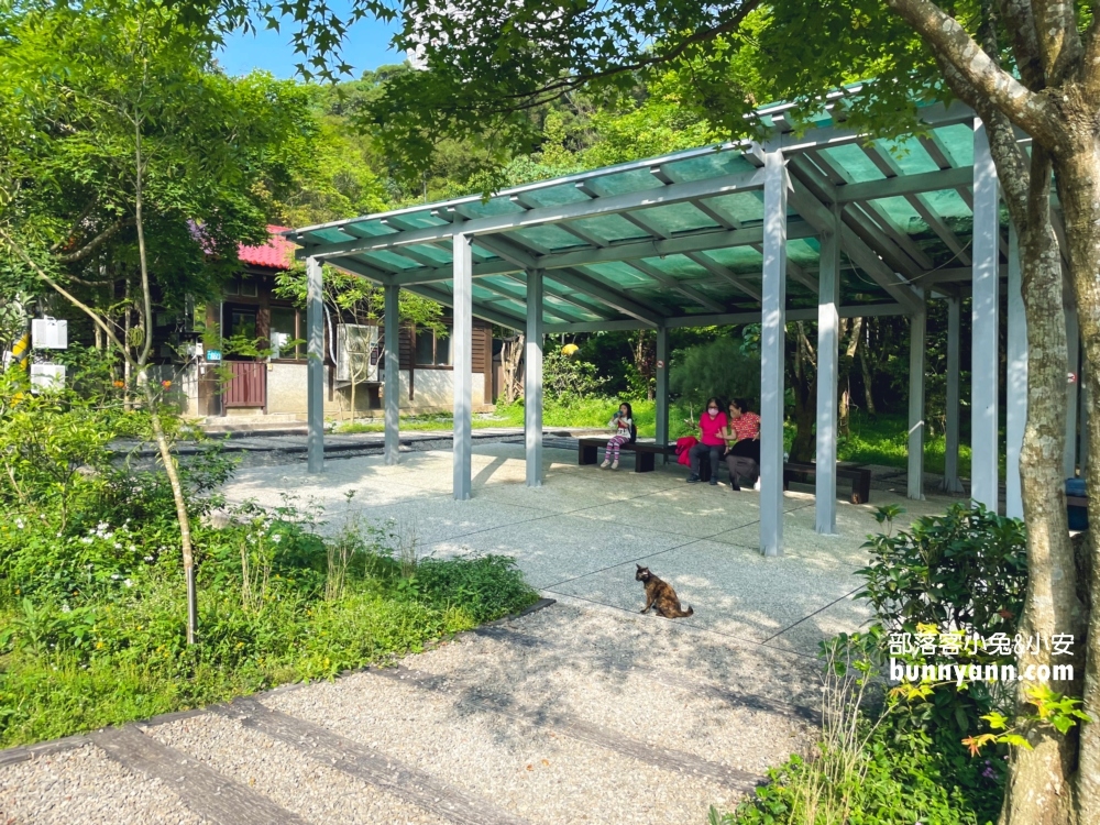 新店【二叭子植物園】讓你輕鬆漫步森林與綠谷之間